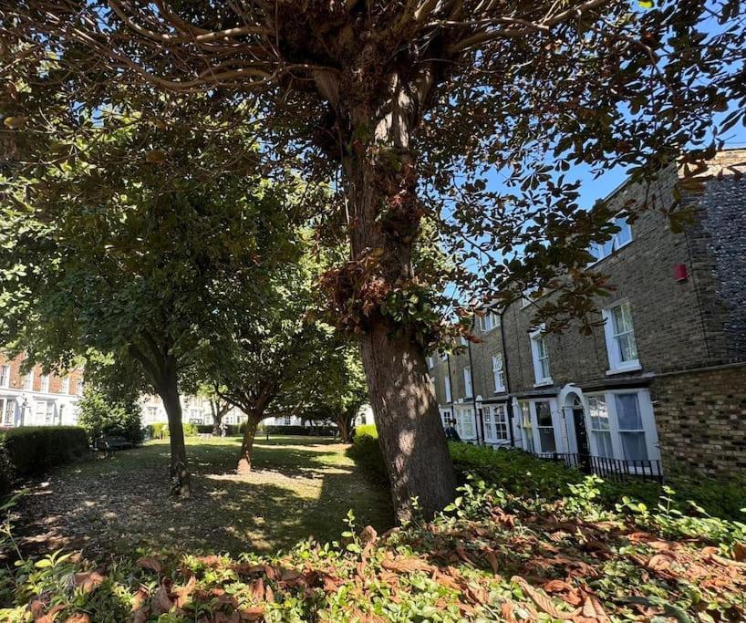 2 Bed Georgian Cottage, Ramsgate Buitenkant foto